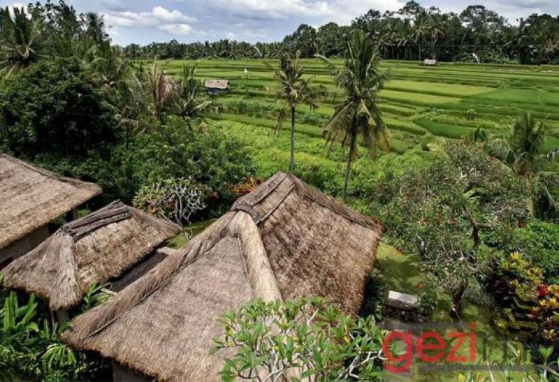 MAYA UBUD RESORT & SPA