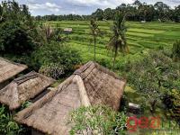 MAYA UBUD RESORT & SPA