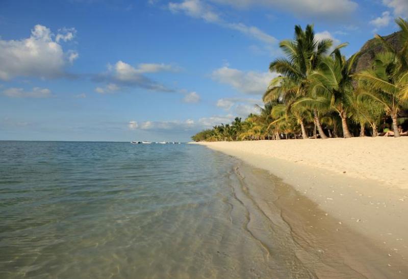 LUX Le MORNE