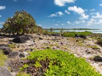 SHANTI MAURICE A NIRA RESORT