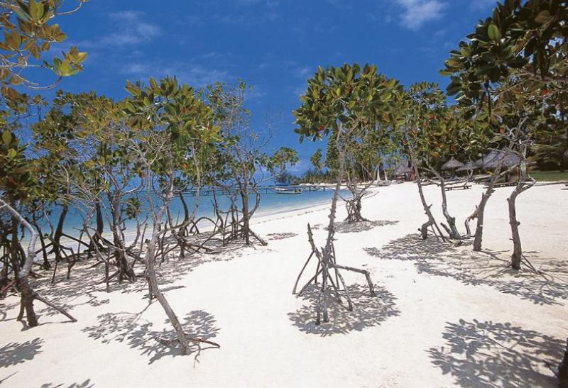 CONSTANCE LE PRINCE MAURICE