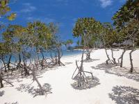 CONSTANCE LE PRINCE MAURICE