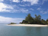 CONSTANCE LE PRINCE MAURICE