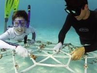 Four Seasons Resort Maldives at Landaa Giraavaru