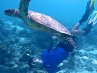 COCO Bodu Hithi