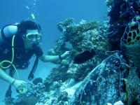 COCO Bodu Hithi