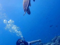 Adaaran Select Huduran Fushi