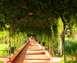 Hotel Turan Prince