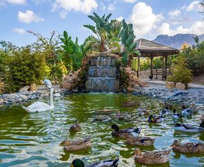 Merit Crystal Cove Hotel & Casino