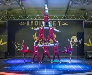 Aydınbey Gold Dreams Hotel