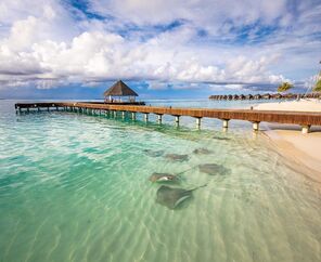 Sun Siyam Vilu Reef