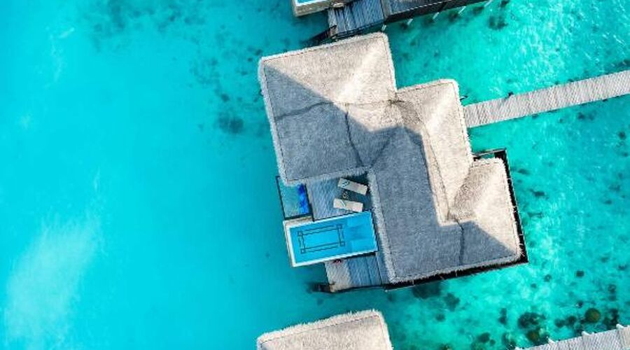 COCO Bodu Hithi