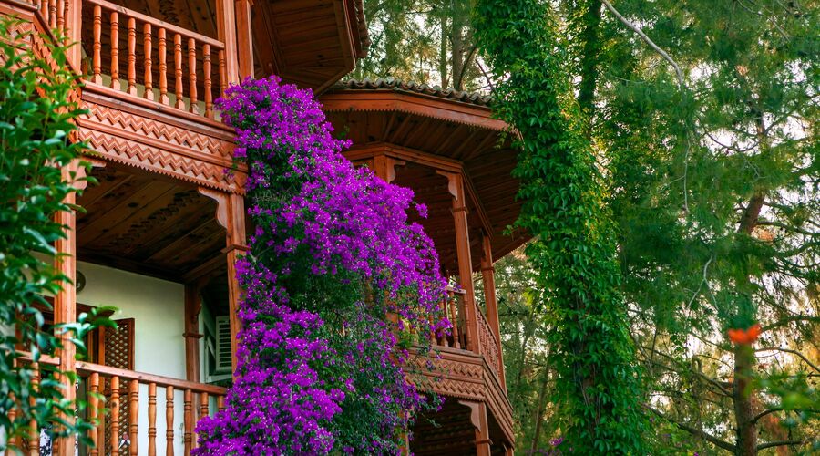 Letoonia Club & Hotel