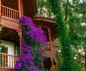Letoonia Club & Hotel