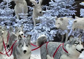 ROMANTİK NOEL PAZARLARI TURU Türk Hava Yolları ile 4 gece